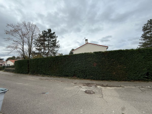 Photo de galerie - Taille de haie 