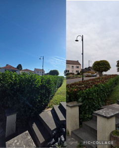 Photo de galerie - Rabattage de haie + taille des côtés 