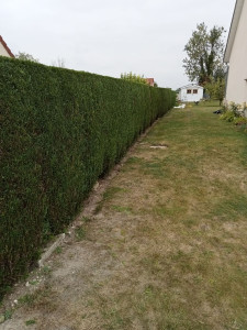 Photo de galerie - 16/08 photo prise Après.