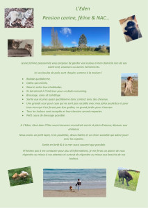 Photo de galerie - N’hésitez pas à me contacter pour plus d’informations ?