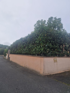 Photo de galerie - La finition 