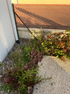 Photo de galerie - Avant 