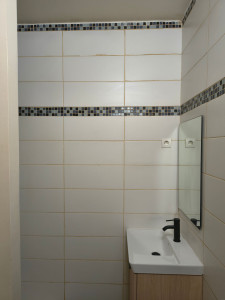 Photo de galerie - Nettoyage en profondeur d'une salle de bain.