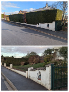 Photo de galerie - Retrait d une haie chez un client 