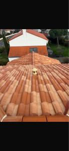 Photo de galerie - Nettoyage fini