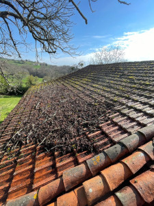 Photo de galerie - Demoussage avant