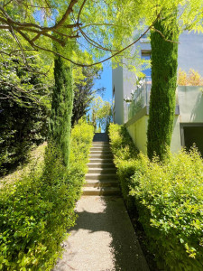 Photo de galerie - Taille de haies et d'arbustes