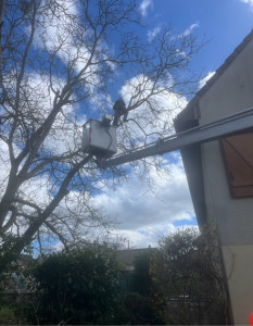 Photo de galerie - Avant