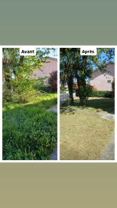 Photo de galerie - Entretien et nettoyage de jardin réalisé avec soin pour un extérieur propre et agréable 