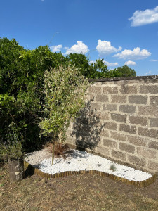 Photo de galerie - Paysagiste - Aménagement du jardin