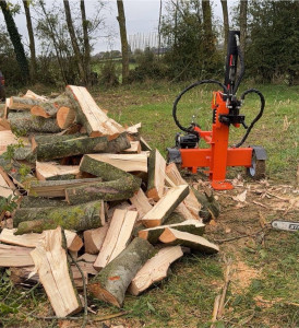 Photo de galerie - Abattage et fendage de bois de chauffage 