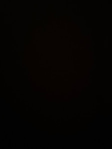 Photo de galerie - à