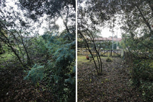 Photo de galerie - Avant/après 