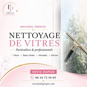 Photo de galerie - Nettoyeur de vitres