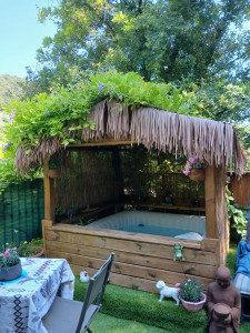 Photo de galerie - Abri spa 