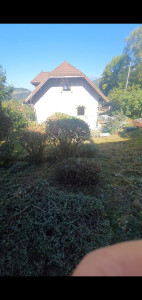 Photo de galerie - Tailles d'arbustes 