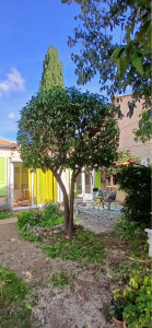 Photo de galerie - Oranger après 