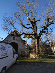 Photo de galerie - Mes prestations 