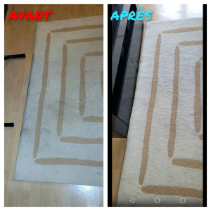 Photo de galerie - Tapis dans le Val-de-Marne.