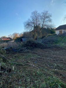 Photo de galerie - Tonte de pelouse - Débroussaillage