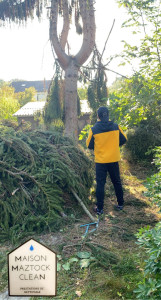 Photo de galerie - Réalisation d’un jardin zen 