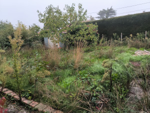Photo de galerie - Tonte de pelouse - Débroussaillage