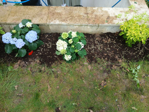 Photo de galerie - Jardinier