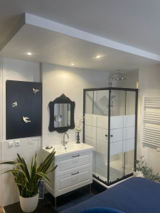 Photo de galerie - Transformation de salle de bain