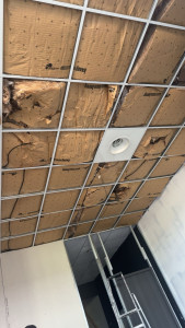 Photo de galerie - Peinture - Tapisserie