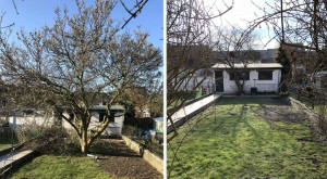 Photo de galerie - Abattage de l’arbre