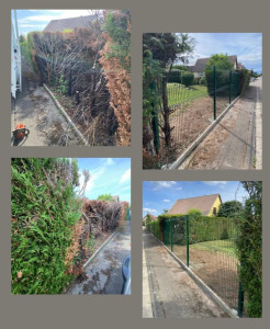 Photo de galerie - Remplacement de clôture suite à dégât d’incendie 