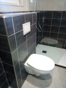 Photo de galerie - Rénovation d'une salle d'eau avec WC suspendu 