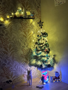 Photo de galerie - Rangement et organisation Noël 