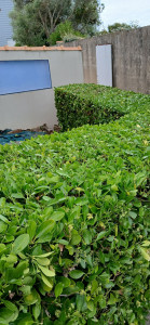 Photo de galerie - Taille 