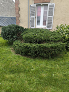 Photo de galerie - Remise en conformité 