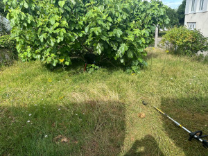 Photo de galerie - Tonte de pelouse - Débroussaillage