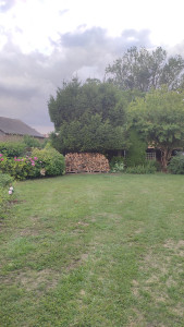 Photo de galerie - Entretien de pelouse et des végétaux 