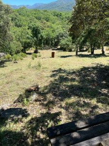 Photo de galerie - Après 