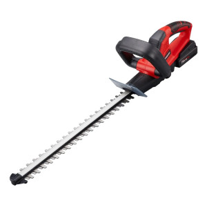 Photo de galerie - Taille de haies et d'arbustes