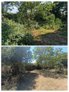 Photo de galerie - Tonte de pelouse - Débroussaillage