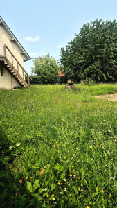 Photo de galerie - Tonte de pelouse - Débroussaillage