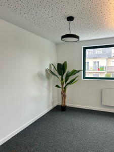 Photo de galerie - Peinture - Tapisserie