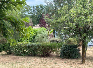 Photo de galerie - Entretien Espace Vert et piscine