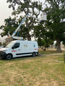 Photo de galerie - Je fait  divers travaux dans l’espace verts 