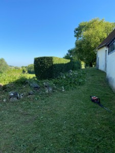 Photo de galerie - Haie de Pyracantha