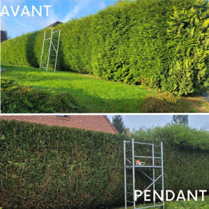 Photo de galerie - Taille de haies et d'arbustes
