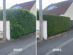 Photo de galerie - ? Taille de haie – Avant / Après Un travail propre, soigné et réalisé avec passion. Contactez-nous pour un devis gratuit ! ✂️