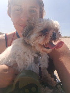 Photo de galerie - Balade à la plage canine 
