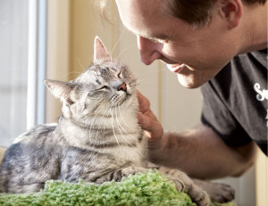 Photo de galerie - Garde chat