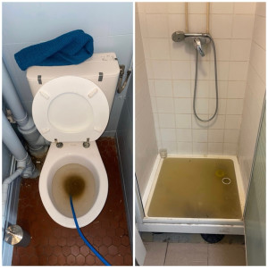 Photo de galerie - Terrassement - Assainissement